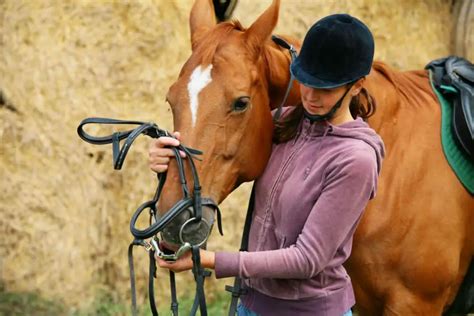 Facts About Horse Riding And A Review Of An Equestrian Riding Helmet Cover