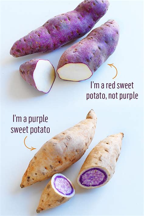 Guide To Purple Sweet Potato Purple Sweet Potatoes Red Sweet Potato