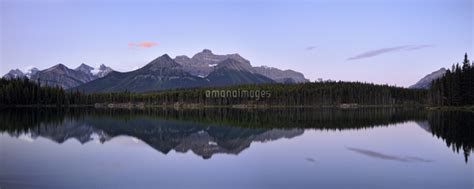 Bow Range Reflected In Herbert Lake At Dawn Banff National Park