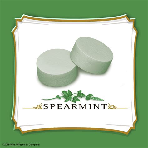 Altoids Spearmint Mints 176 Oz Pack Of 12 Altoids