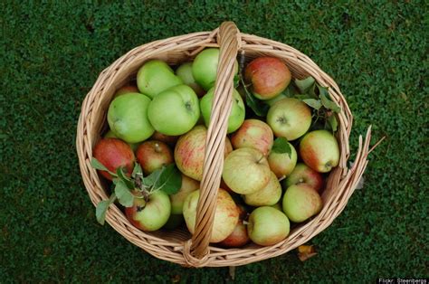 Apple Health Info Crazy Facts About The Fruit HuffPost