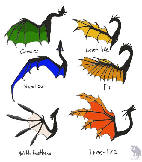 Dragon Wings Types By Flying With Dragons On Deviantart