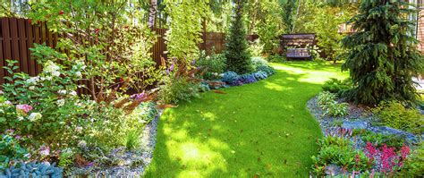 How To Grow A Forest In Your Backyard Meyer Landscape