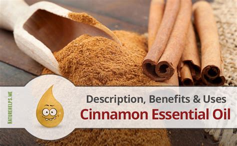 Cinnamon Essential Oil Description Benefits And Uses