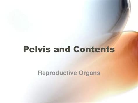 Ppt Pelvis And Contents Powerpoint Presentation Free Download Id