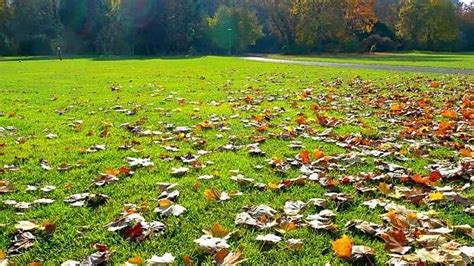 Fall lawn care determines the health of your grass for the next warm season, as well as gives it additional powers to survive the dormant period it will only benefit from the healthy amount of mulch. Do I need to water my lawn in the fall?