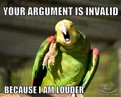 Bildergebnis Für Bird Memes Lustige Papageien Papagei Vogel Memes