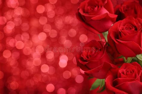 Red Roses On Bokeh Background Stock Image Image Of Marriage Festive