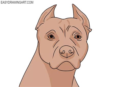 How To Draw A Pitbull Face Easy Drawing Art