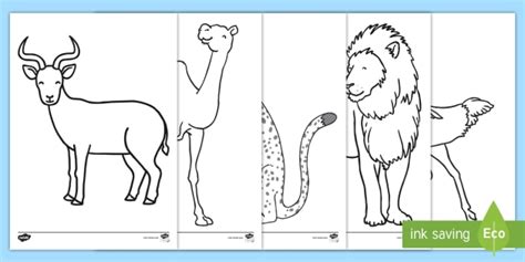 African Animals Colouring Pages Teacher Made