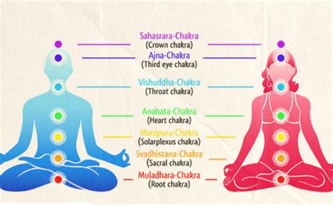 Chakras In Tantra Yoga Tantric Massage Guide