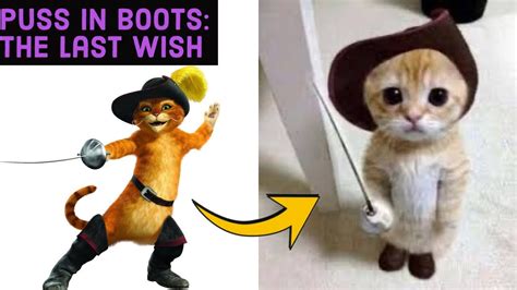 Puss In Boots The Last Wish Characters In Real Life Youtube