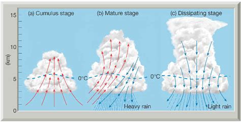 Stages Of Thunderstorm