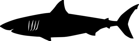 80 Shark Svg Free SVG PNG EPS DXF File
