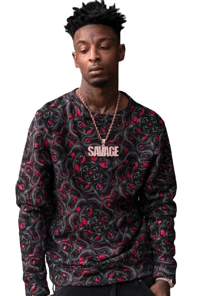 Best 90 21 Savage Png Logo Clipart Hd Background