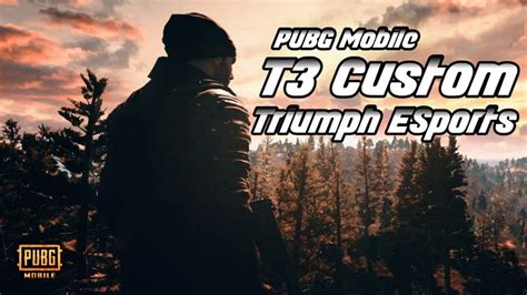 Triumph Esports T3 Custom Match 27 Youtube