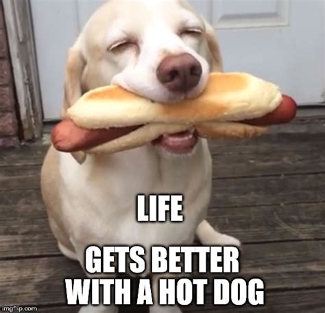 Hot Dog Imgflip