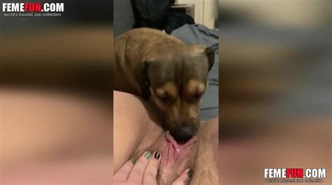 Wife Exposes Herself And Enjoys A Cunt Licking From An Dog Xxx Femefun