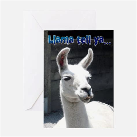 Funny Llama Greeting Cards Card Ideas Sayings Designs And Templates
