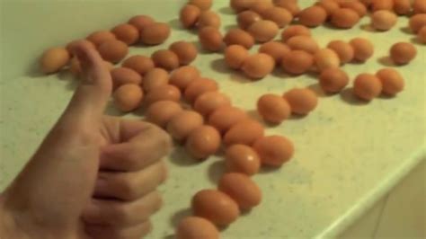 July 10, 1993 ) is an australian youtuber known for his messy tutorials marketed as typical tutorials, but actually containing erratic actions and raging over items, most notably with eggs. How To HowToBasic - YouTube