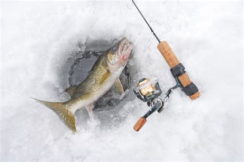 Ice Fishing For Walleye: Best Jigs Lures, Rods & Line