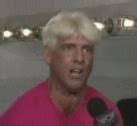 Ric Flair Wwe Lucky Find On GIFER