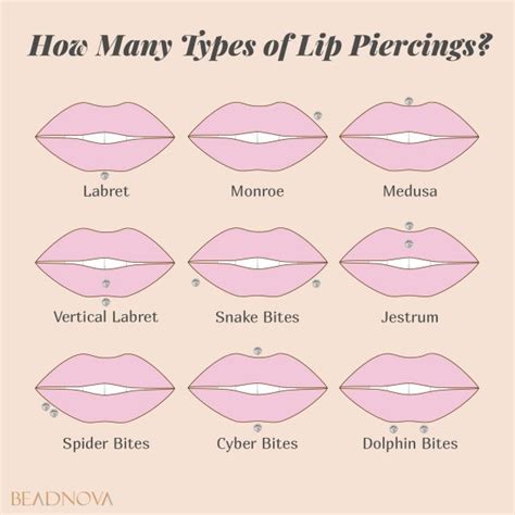 Popular Types Of Body Piercings Beadnova