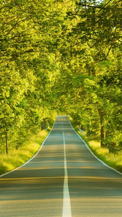 Clear Road Nature Iphone 6 6s Plus Hd Wallpaper