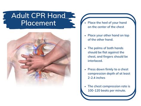 Cpr Hand Placement How To Position Your Hands For Chest Compressions