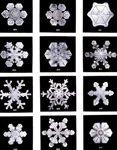 Vermont Farmer First To Capture Photos Of Snowflakes In 1885 Antique
