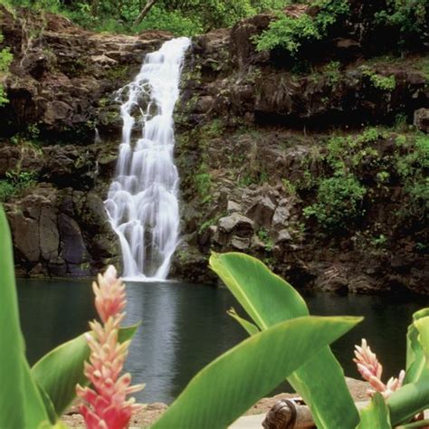 Guided Waterfall Tours In Oahu Usa Today