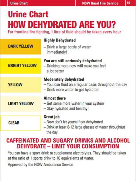 Dehydration Urine Color Chart Pdf