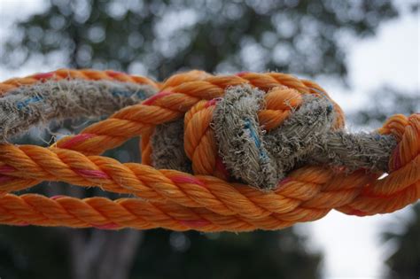 Orange And Brown Rope Knot Image Free Stock Photo Public Domain