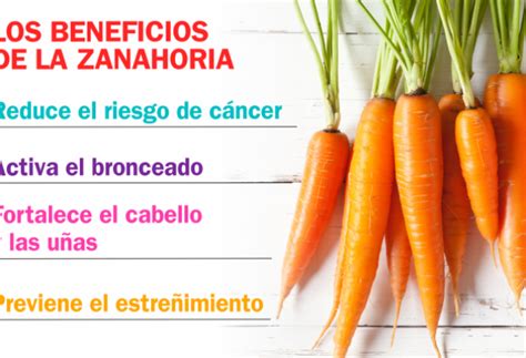 El infográfico los beneficios de la zanahoria