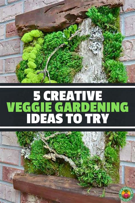 5 Creative Vegetable Garden Ideas | Epic Gardening