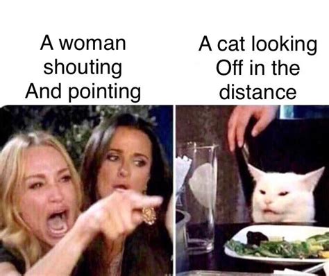 A Woman Pointing And Shouting Woman Yelling At A Cat Know Your Meme