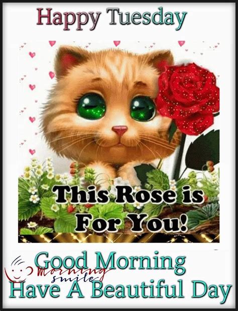 Wishing you a blooming great day! Rose For Happy Tuesday Good Morning Quote Pictures, Photos, and Images for Facebook, Tumblr ...