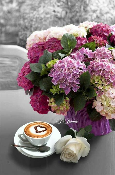 Pin By Sjahril Mahdar On Coffeebucks Mantap Coffee Flower Good
