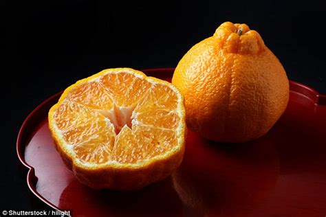Consegues Ver A Diferença Entre Uma Clementina Tangerina E Um Satsuma