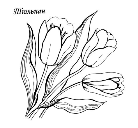 Раскраски цветы Чеченский сайт для детей и родителей