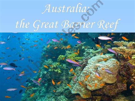 ESL English PowerPoints Australia The Great Barrier Reef