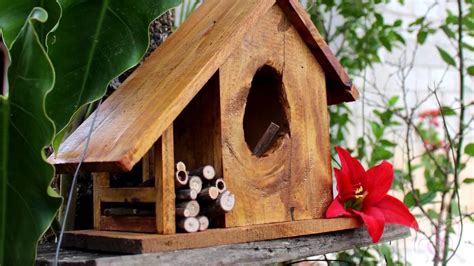 Casa Para Passarinho Casa Para Pássaros Em Jardim Shotgnod