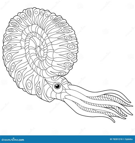 Zentangle Estilizó El Nautilus Ilustración Del Vector Ilustración De