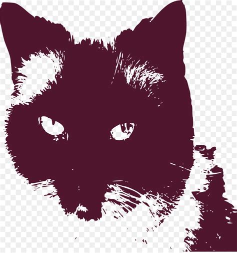 Namun, ada juga yang terdiri dari warna lain seperti coklat, hitam dan putih. Gambar Kucing Persia Hitam - Gambar Barumu