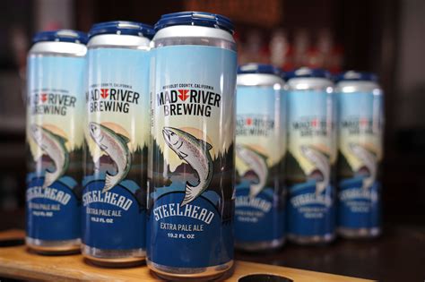 Mad River Brewing Packages Steelhead Extra Pale Ale In 19 2oz Cans