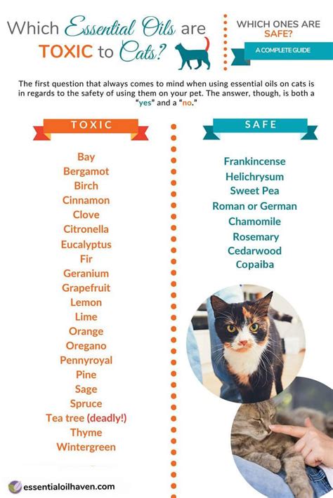 Are any essential oils safe for cats? Pin on Cats
