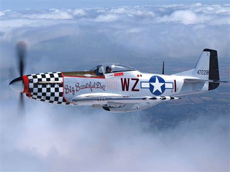 North American P 51 Mustang Fighters Big Beautiful Doll Tail No