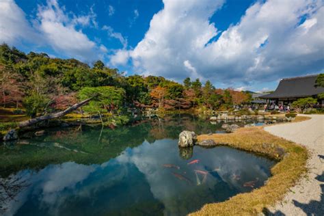 2 Day Kyoto Highlights Itinerary Travel Caffeine
