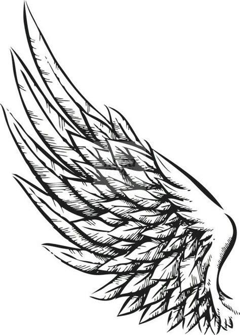 Phoenix Wings Drawing At Getdrawings Free Download