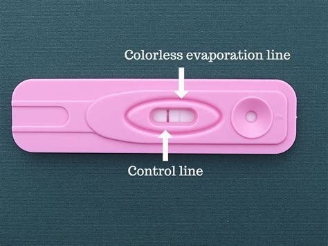 Positive Dollar Tree Pregnancy Test Evaporation Line You Did It That